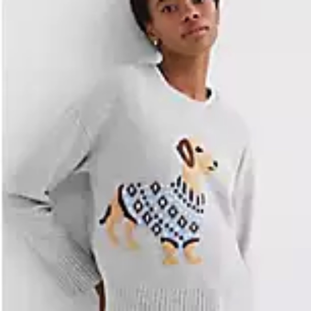 LOFT Dachshund Everyday Sweater
